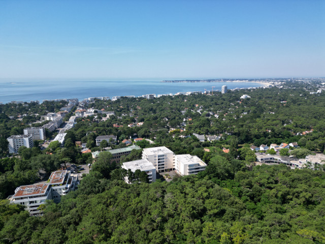 Histoire Dune Forêt La Baule 