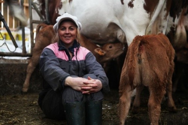 01-Les Veaux de Nathalie - Ferme des Iles Morice - Producteur de veaux de lait sous la mère à Saint Molf