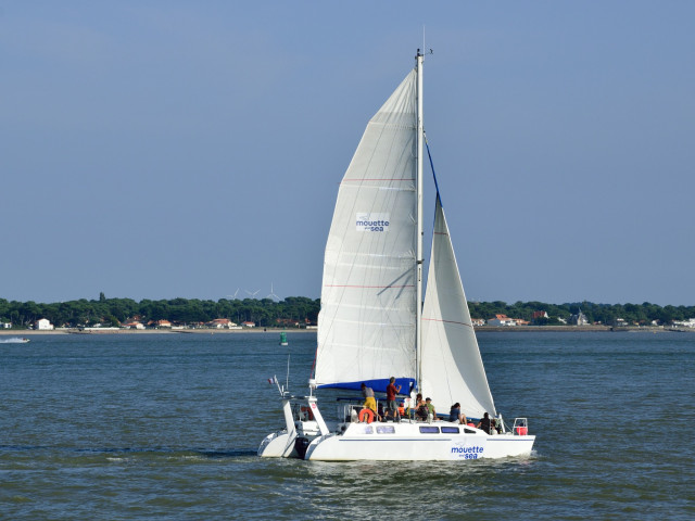 Mouette and Sea - Sortie en Catamaran - Pornichet