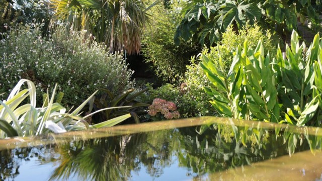 Paysagiste Exotica Création