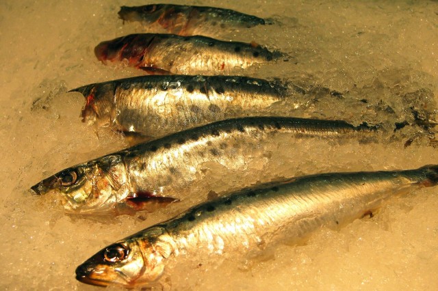 Poissonnerie Michel