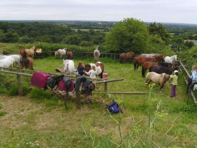 poney-club-des-landes-de-cuneix-2015-1062919