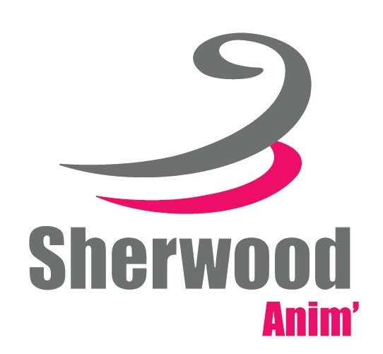 Sherwood Anim' - Agence événementielle - Carquefou