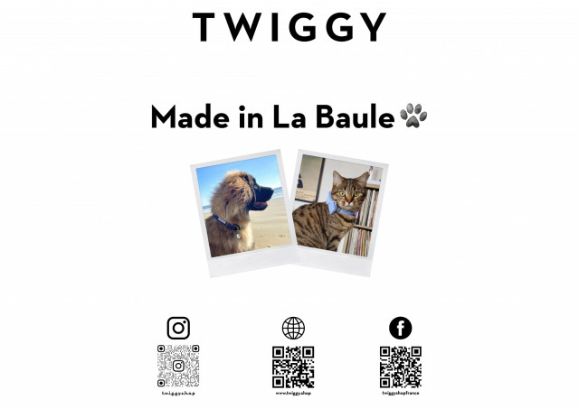 Twiggy - La Baule