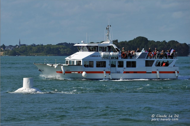 Les Vedettes Angélus - Découverte du Golfe du Morbihan