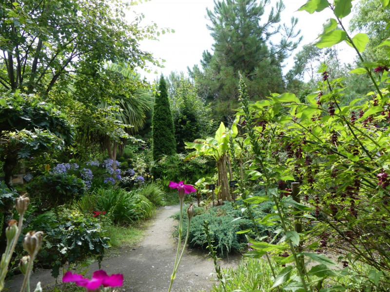 01 - Tropicarium Bonsai La Baule