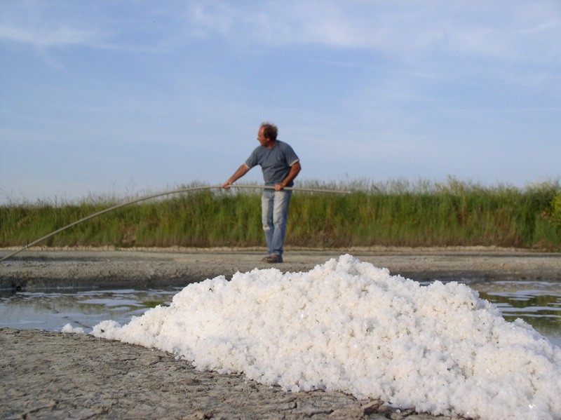 Nicolas Arnould - Visite de saline Salorge de Rostu - Mesquer Quimiac