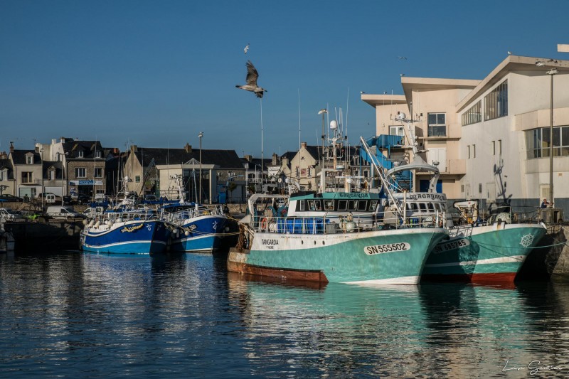 Port de pêche de La Turballe