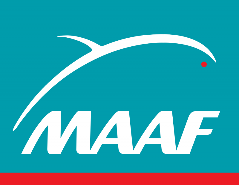 Maaf Assurance Guérande