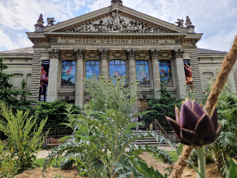 Muséum d'histoire naturelle Nantes - façade