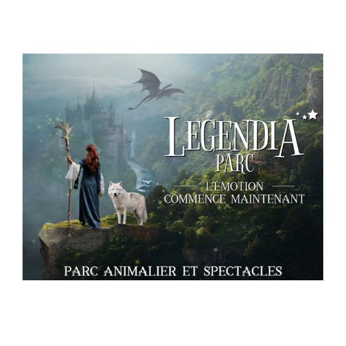 affiche-format-ic-ne-9-2040887 affiche-format-ic-ne-9-2040887
