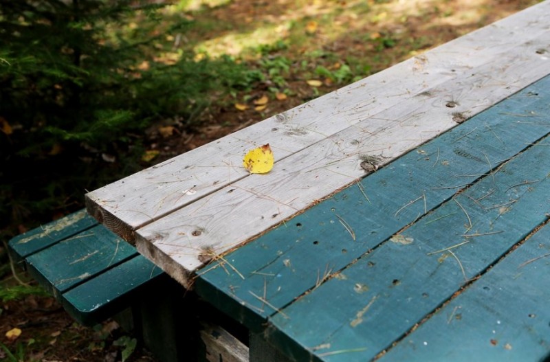 Pouliguen picnic area