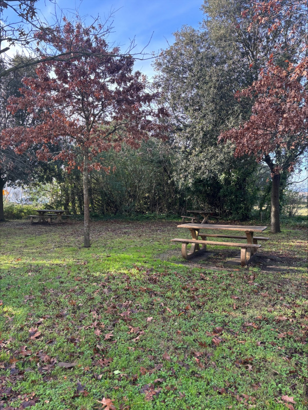 Aire de pique-nique boulevard de la Libération Le Pouliguen - © OTI LBPG Aire de pique-nique boulevard de la Libération Le Pouliguen