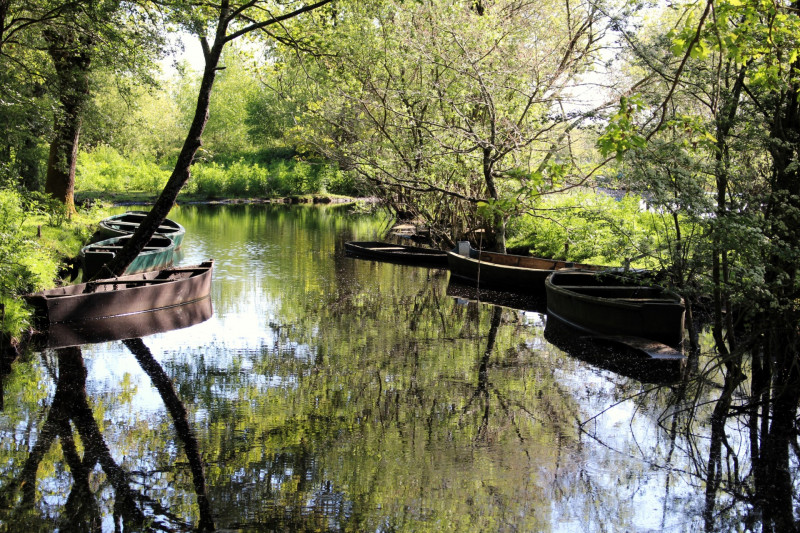 Aire de pique-nique de Bréca - St Lyphard