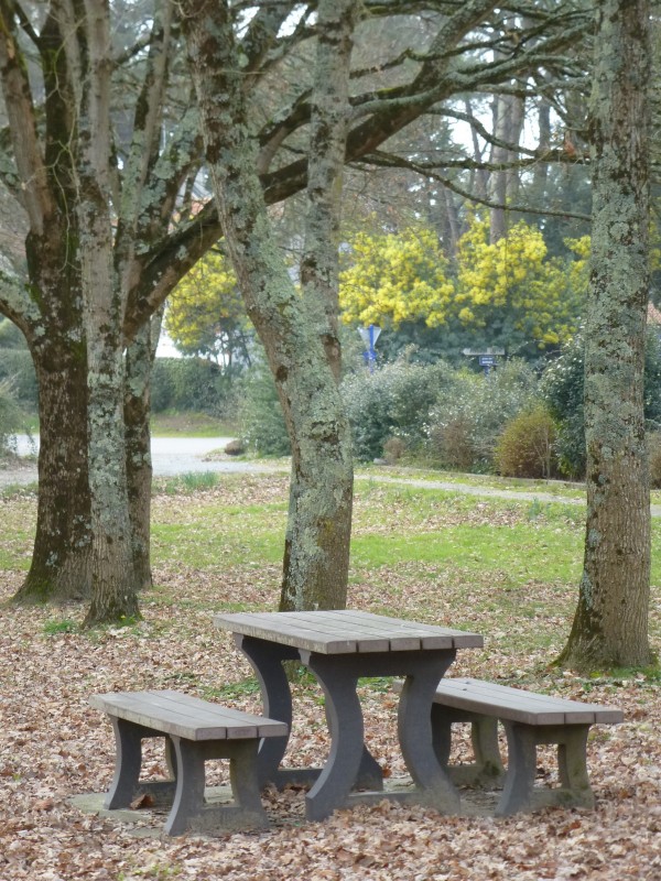 'Praderoi' picnic area