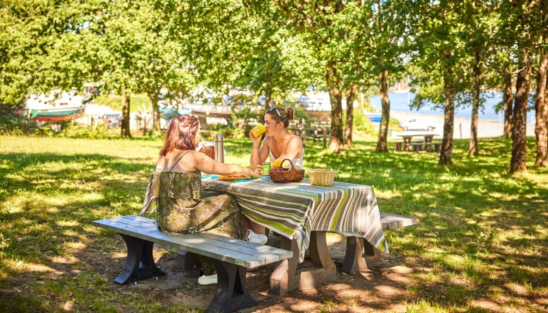 'Vieille Roche' picnic area