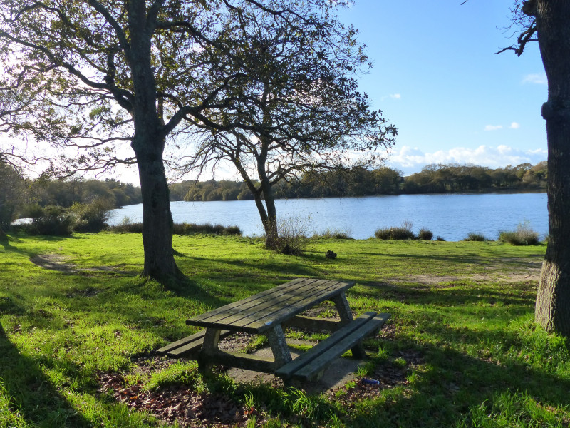 Aire de pique-nique des Étangs de Sandun - Guérande Aire de pique-nique des Étangs de Sandun - Guérande