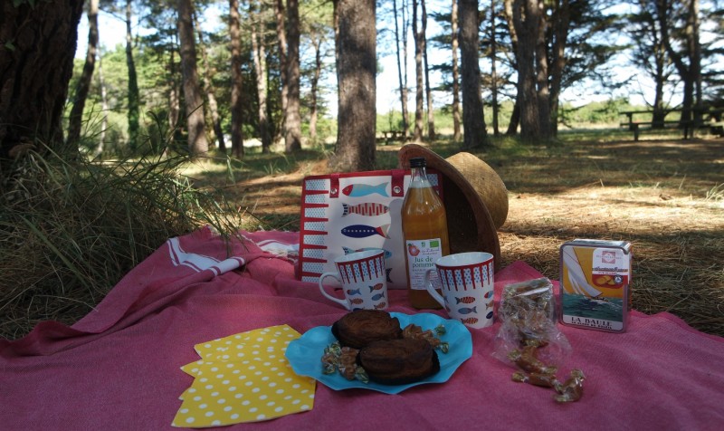 Aire de pique-nique du Bois de la Justice - Piriac-sur-Mer