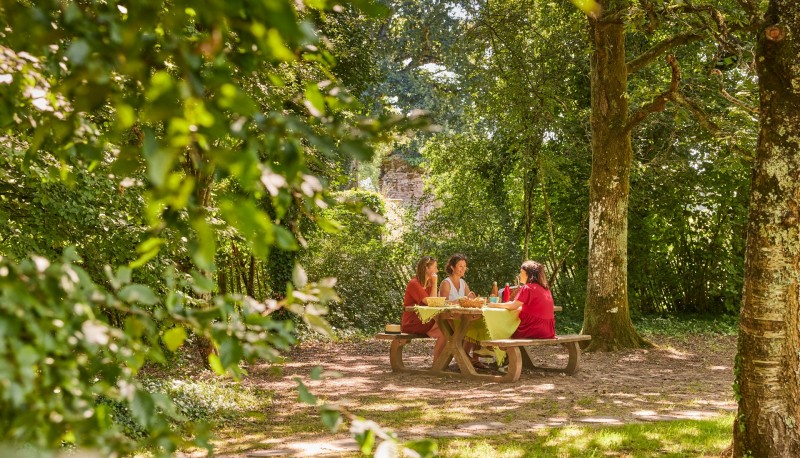 Picknickplatz Château de Ranrouët