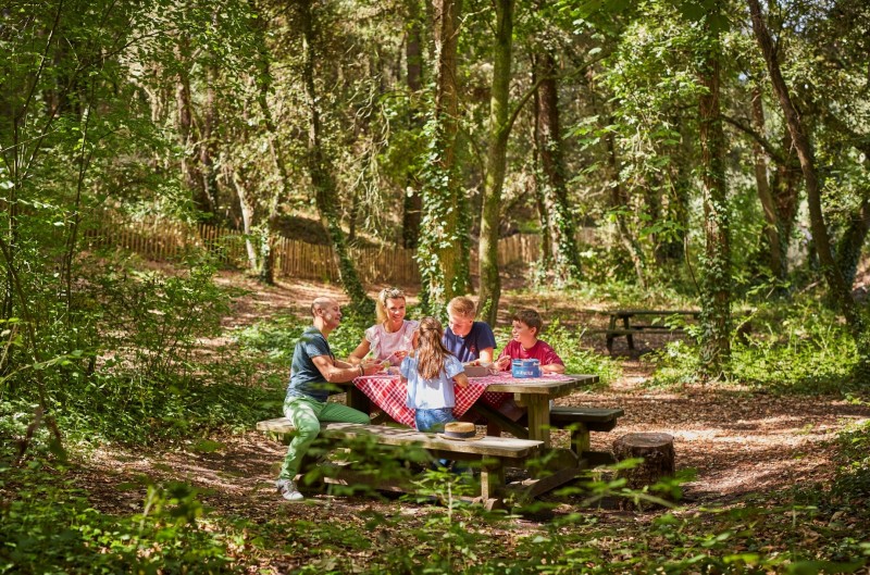 Aire de pique-nique - Forêt d'Escoublac - La Baule