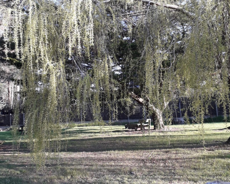 Picknickplatz von Port-au-Loup