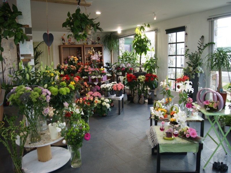Alliance Florale