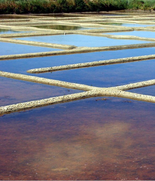 Apéromenade dans les marais salants