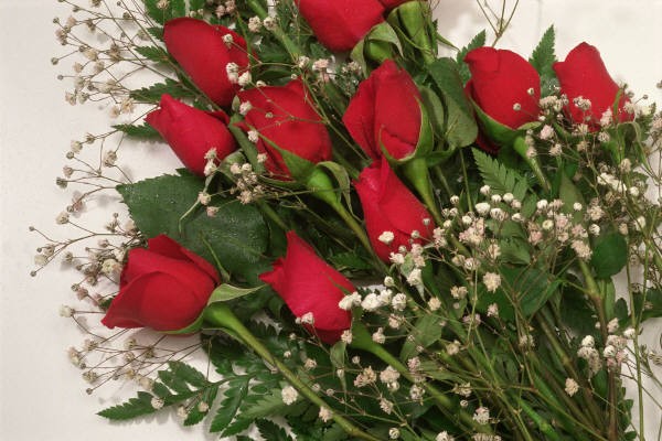 Bouquet de fleurs
