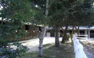 Centre équestre et poney club du Bel Air -  Mesquer Quimiac - Le centre