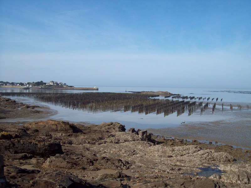 Circuit Entre sel terre - Assérac - Vue sur la pointe de Merquel