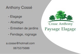 Cossé Anthony Paysage