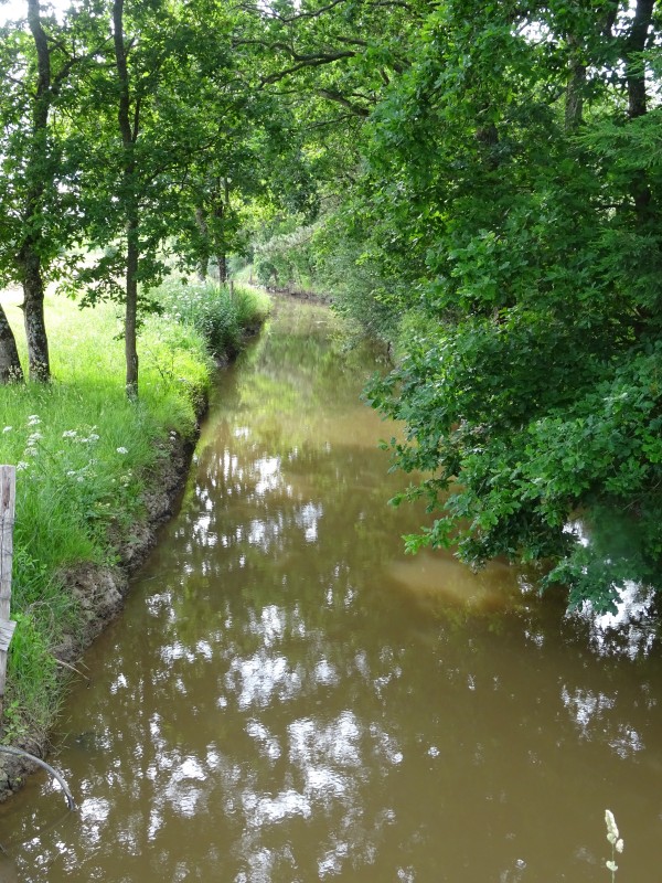 Cours d'eau