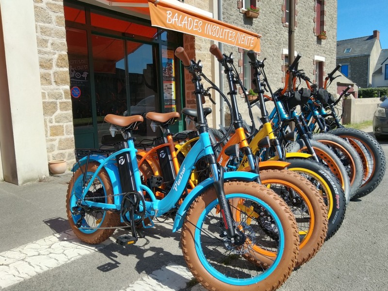 Guérande - Les Trottes de l'Ouest Avec selle ou sans selle...