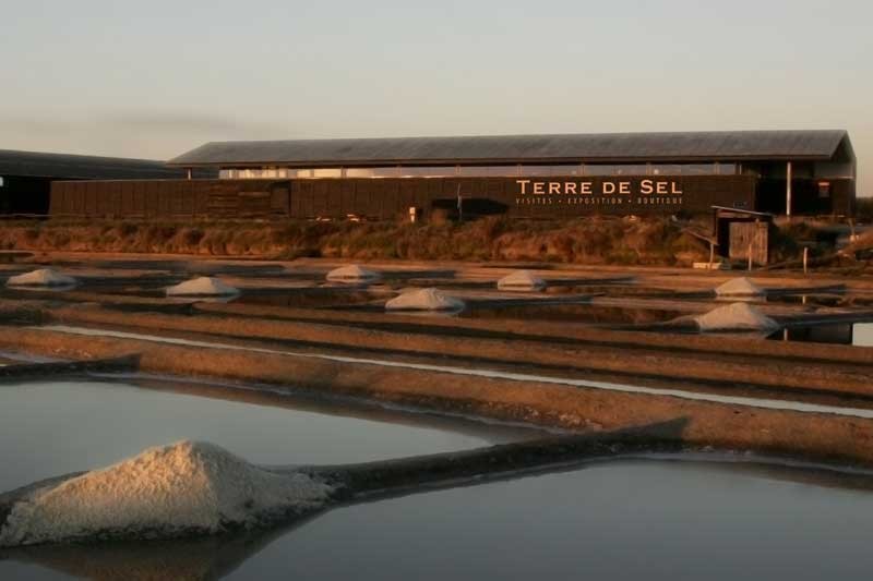 Guérande-Terre de Sel-Pradel Marais Salants Photo P. François