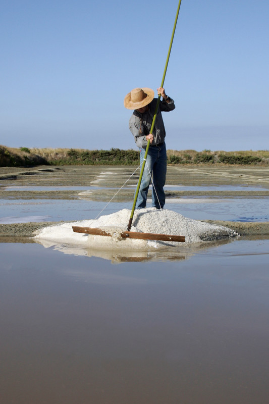 Crédit photo Terre de Sel / Photo Pascal François.