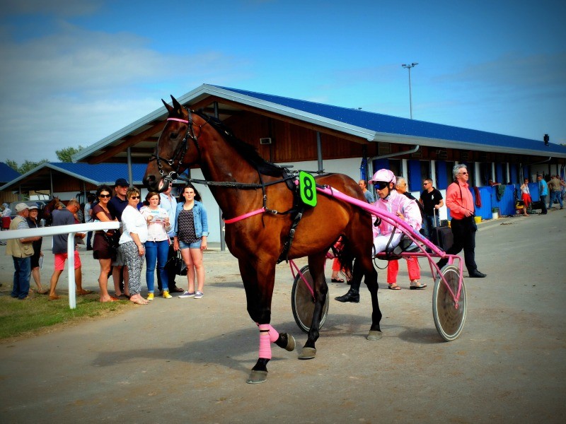 Hippodrome de Pornichet - Courses hippiques