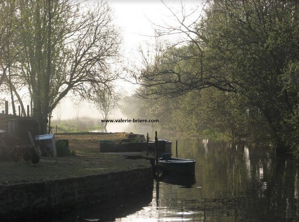 Île de Fédrun le matin - Valérie Aoustin Huard Saint-Joachim Brière