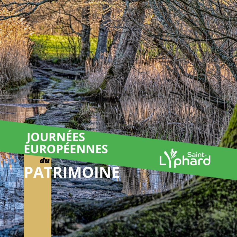 JEP ST LYPHARD -  Visitez le Pont de Gras
