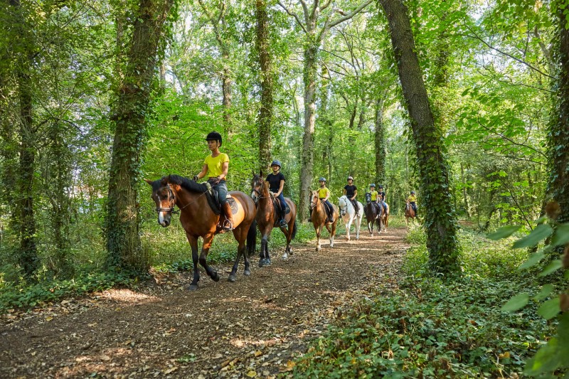 La Baule les pins - Forêt d'Escoublac - équitation