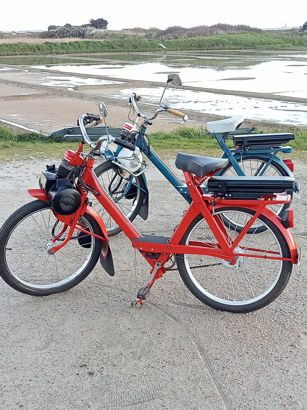 La Bauloise Bleue - La Baule - Solex