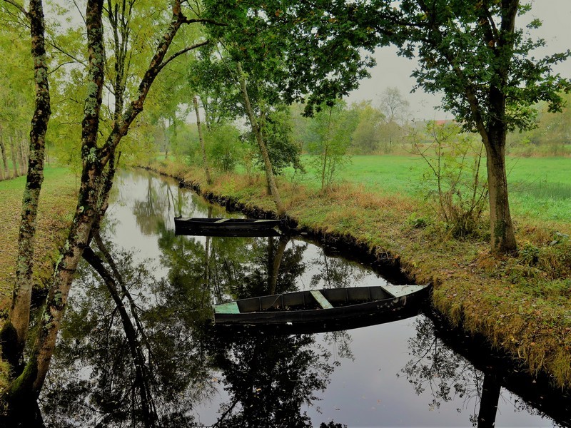 La chalandière et le Brivet - Canal de la Chaussée