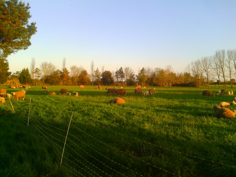 La Ferme de la Nantaise - Guérande