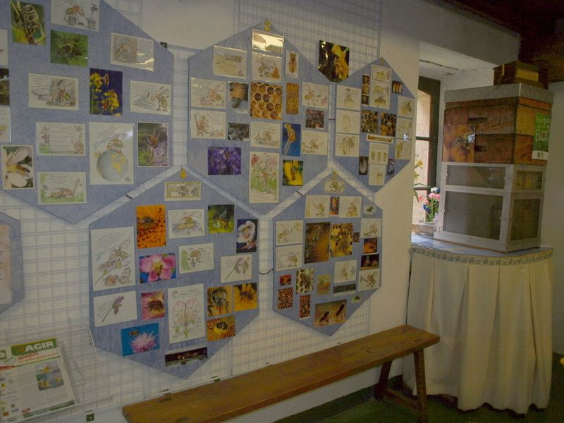 La Maison de l'Abeille - La Roche Bernard - Exposition