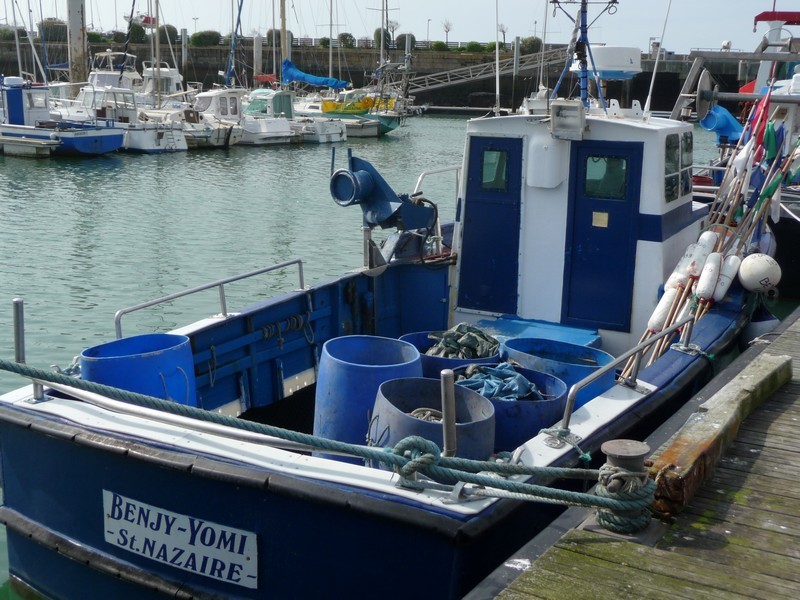 Le Benjy Yomi : bateau sortie et initiation pêche en mer La Turballe