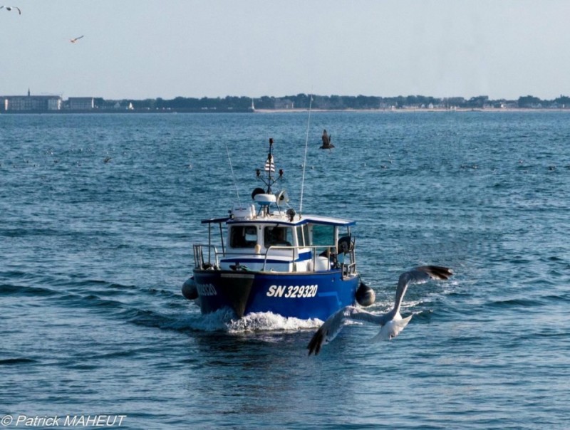 Le Benjy Yomi : bateau sortie et initiation pêche en mer La Turballe