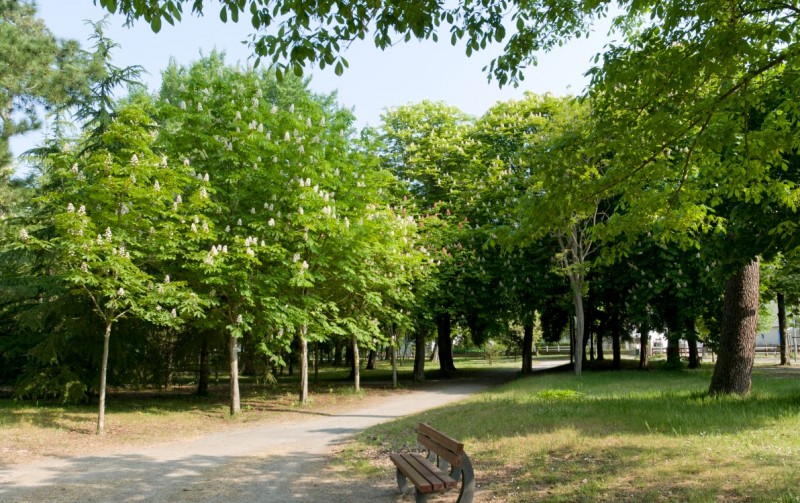 Picknickplatz vom Bois du Pouliguen