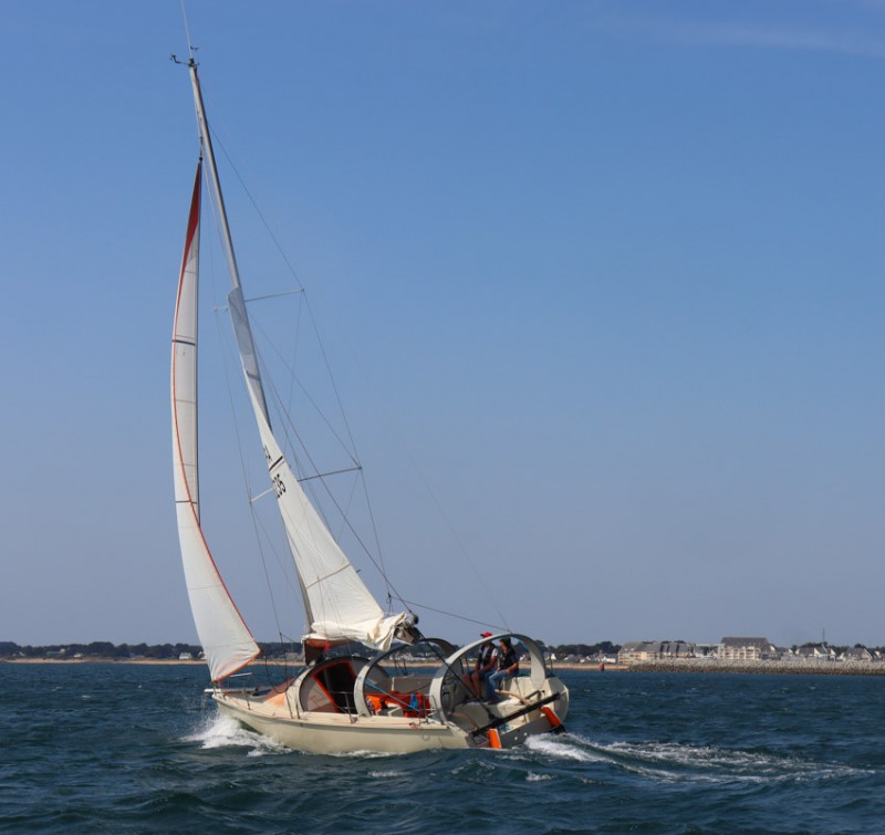 Le pied marin devant le port de la Turballe