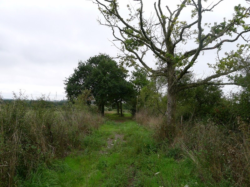 Les Marais de Maca