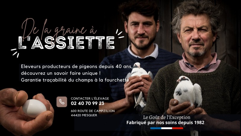 Les Pigeons de Mesquer - Affiche - Mesquer Quimiac