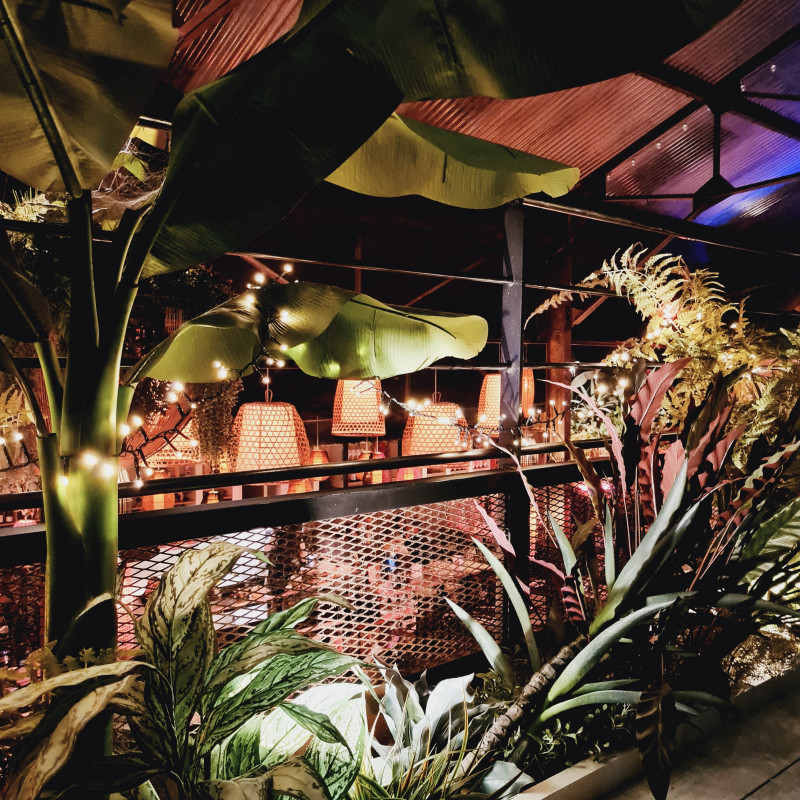 Louisa Pampa - La Baule